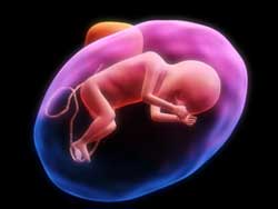 rêver de fœtus signification.