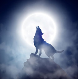 rêver de loup